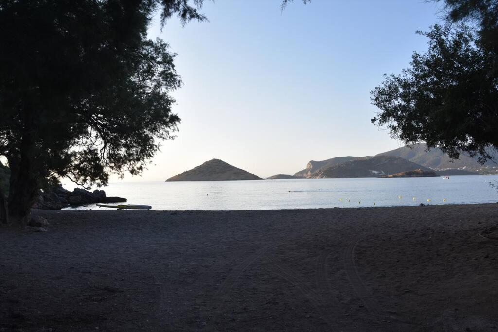 Modern Studio Next To The Sea! Porto Rafti Exterior photo